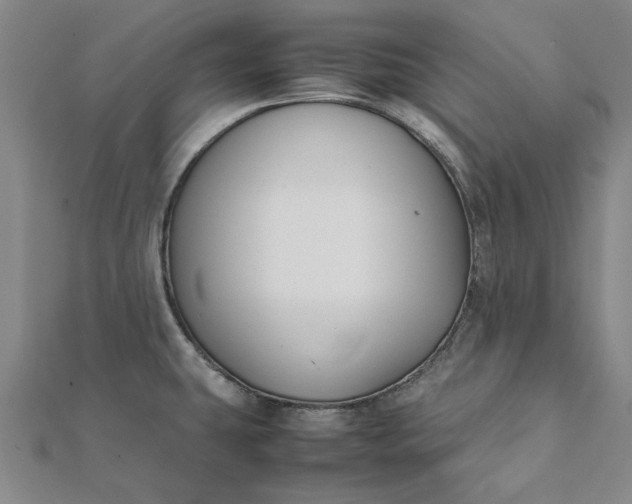 X0000112071431200908181210