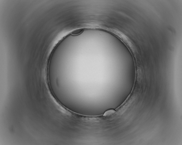 X0000112071432200908181210