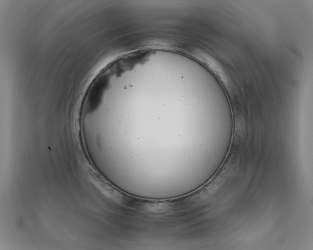 X0000112071435200908181210