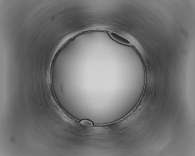 X0000112071436200908181210