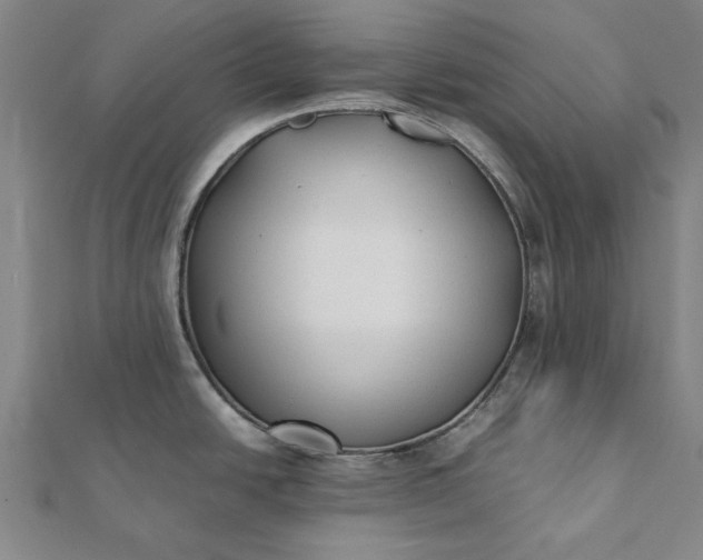 X0000112071438200908181210