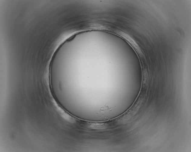 X0000112071439200908181210