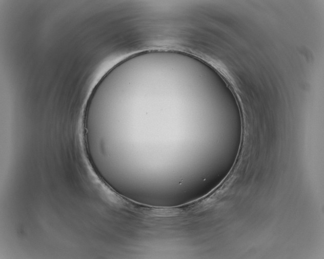 X0000112071440200908181210