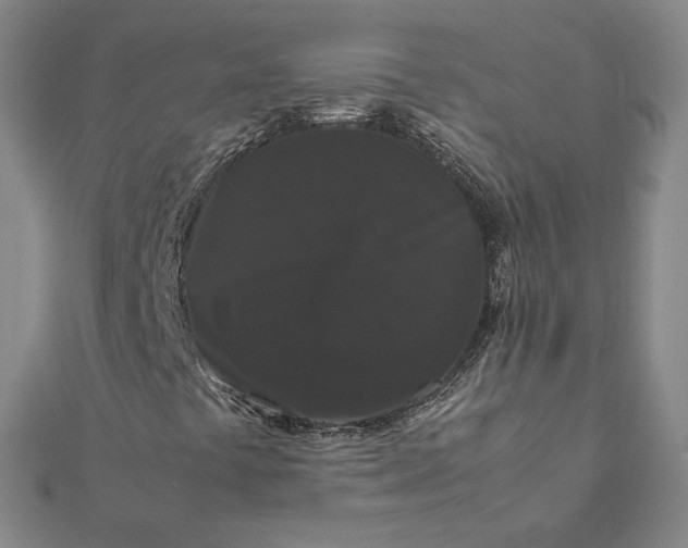 X0000112071441200908181210