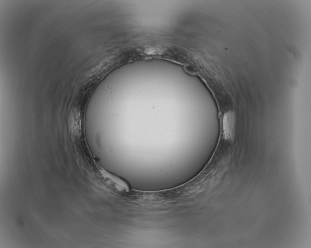 X0000112071443200908181210