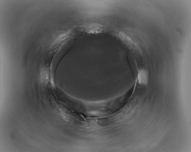 X0000112071444200908181210