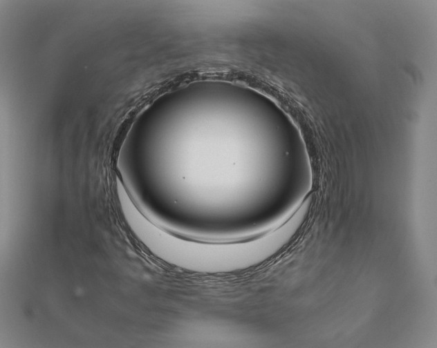 X0000112071445200908181210