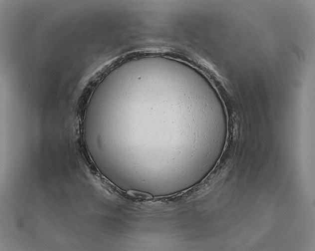 X0000112071448200908181210