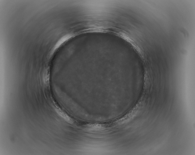 X0000112071450200908181210