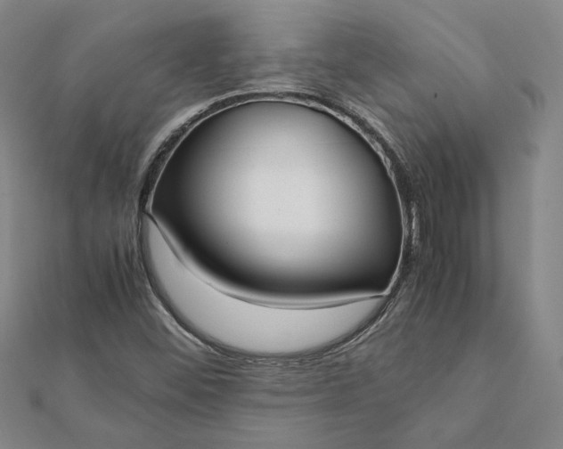 X0000112071452200908181209