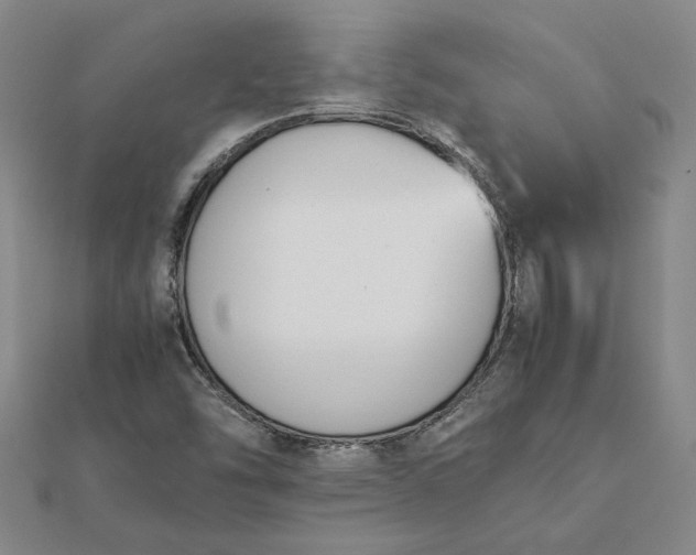 X0000112071454200908181209