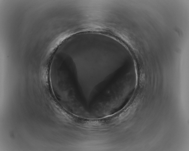 X0000112071455200908181209