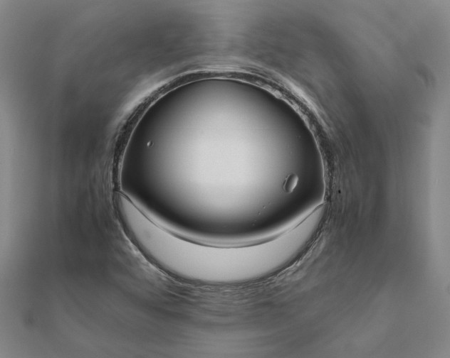 X0000112071456200908181209