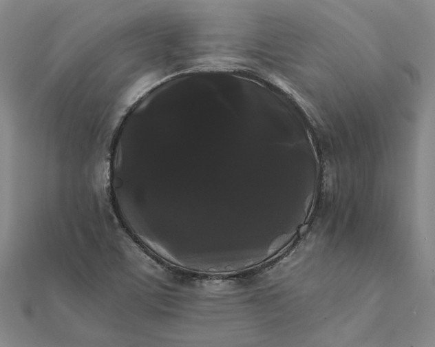 X0000112071459200908181209