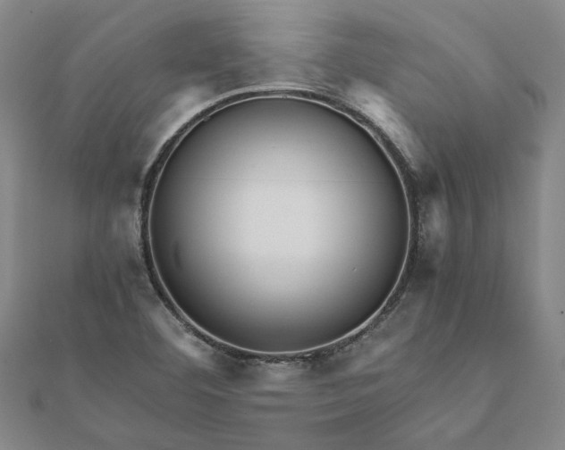 X0000112071460200908181209