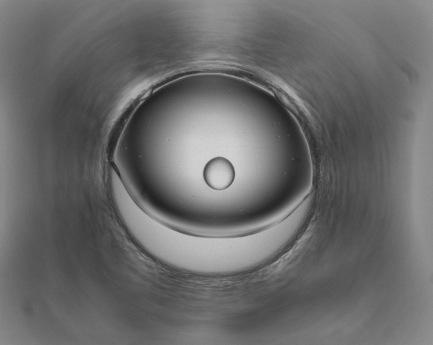 X0000112071461200908181209