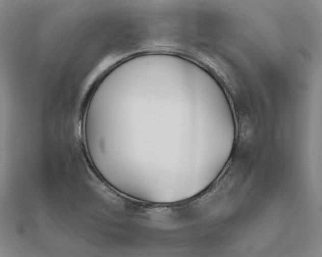 X0000112071462200908181209