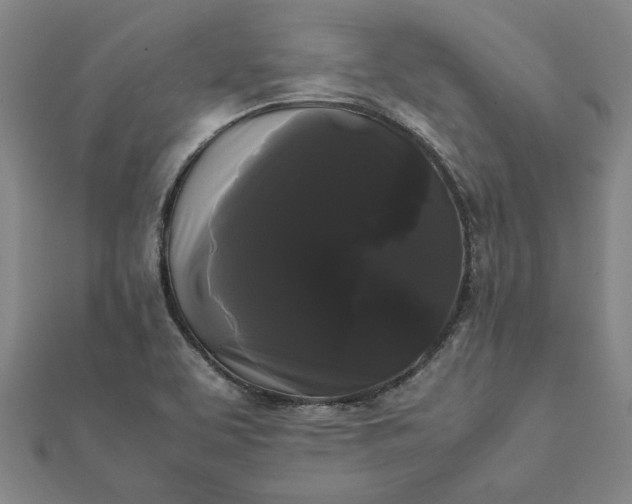 X0000112071463200908181209