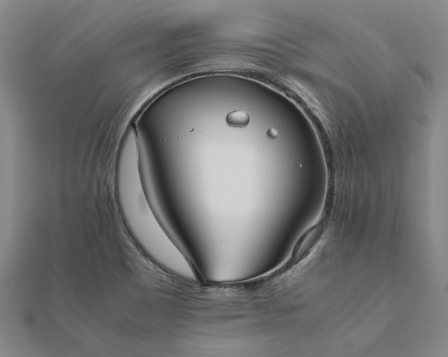 X0000112071465200908181209