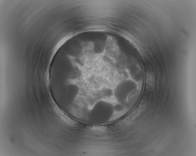 X0000112071466200908181209