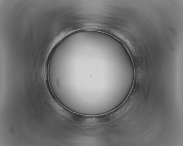 X0000112071467200908181209