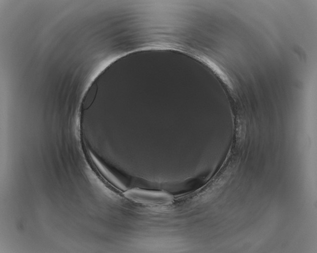 X0000112071468200908181209