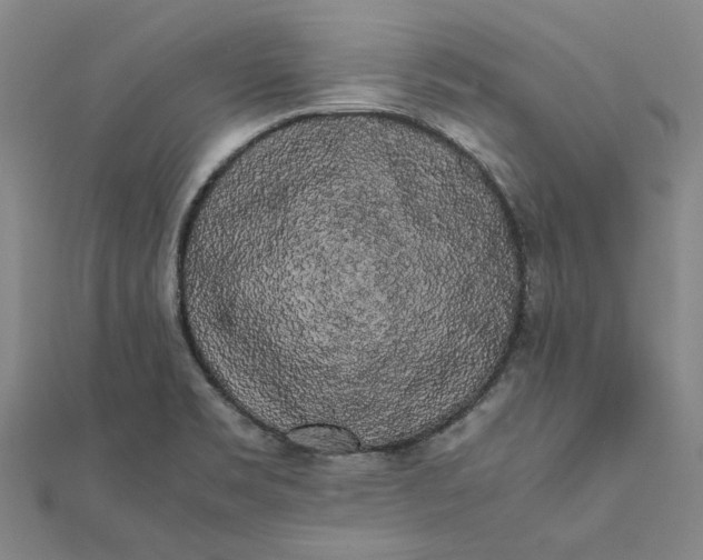 X0000112071469200908181209