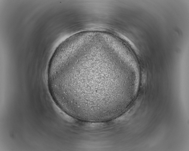 X0000112071471200908181209