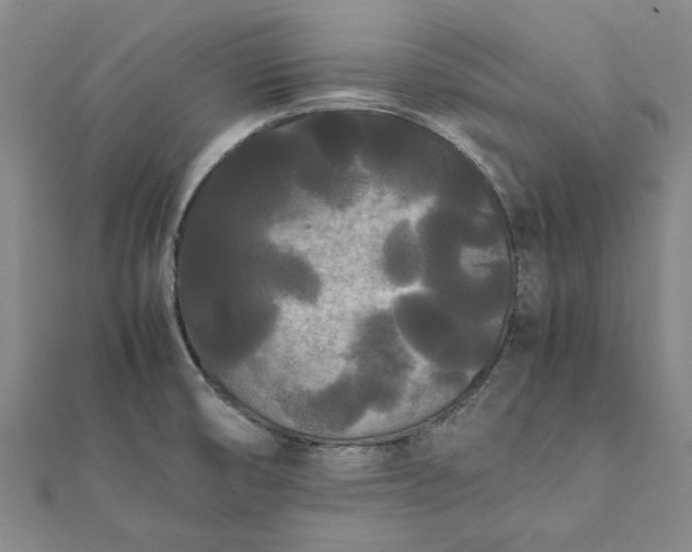 X0000112071474200908181209