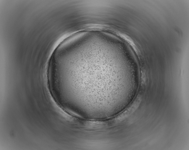 X0000112071475200908181209