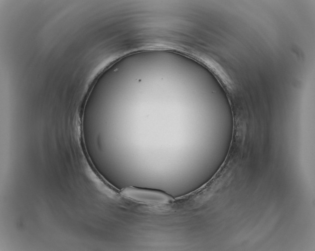 X0000112071476200908181209