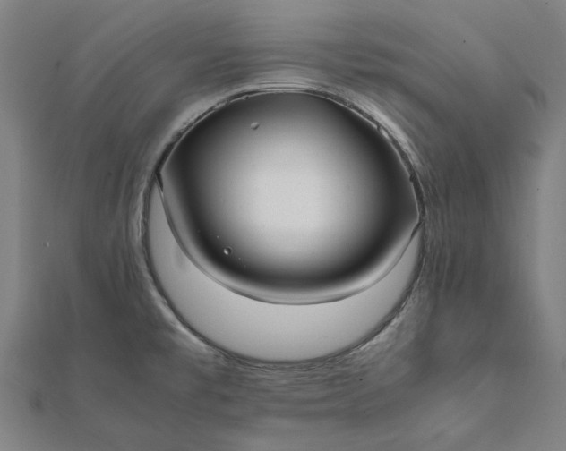 X0000112071477200908181209