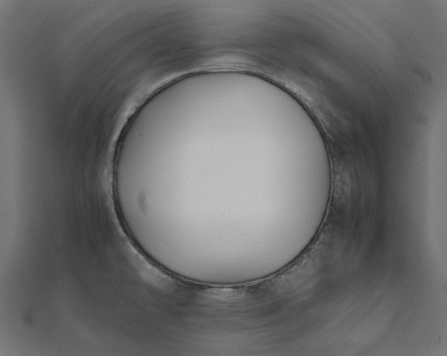 X0000112071478200908181209