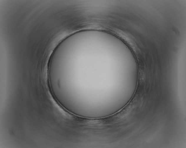 X0000112071479200908181209