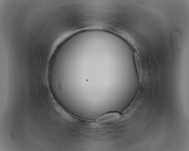 X0000112071480200908181209