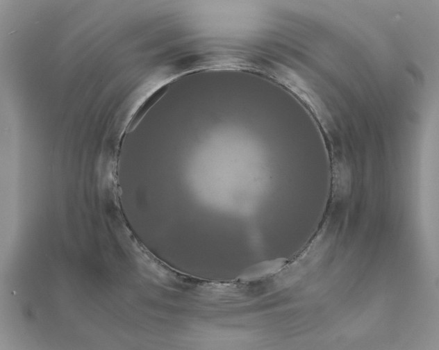 X0000112071481200908181209