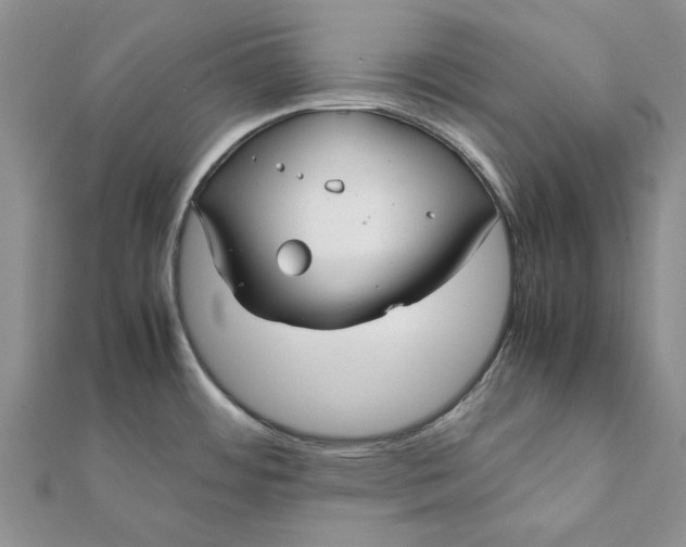 X0000112071484200908181209