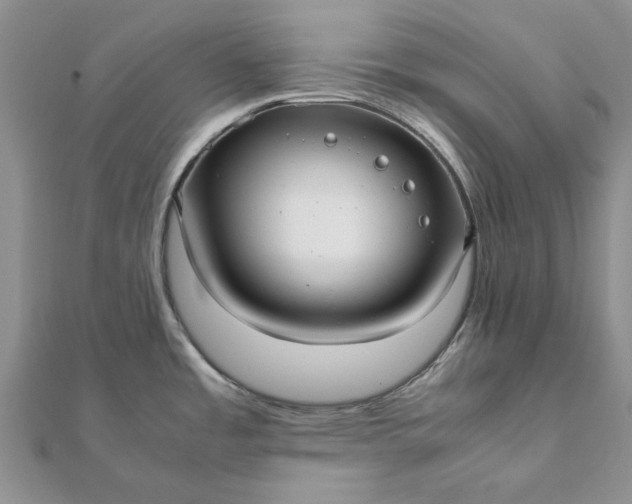 X0000112071485200908181209