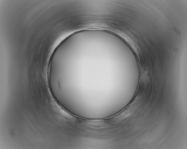 X0000112071486200908181209