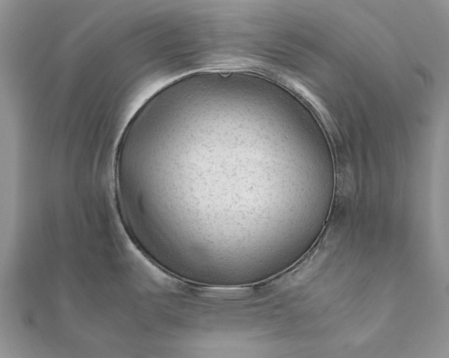 X0000112071487200908181209