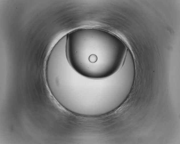 X0000112071488200908181209