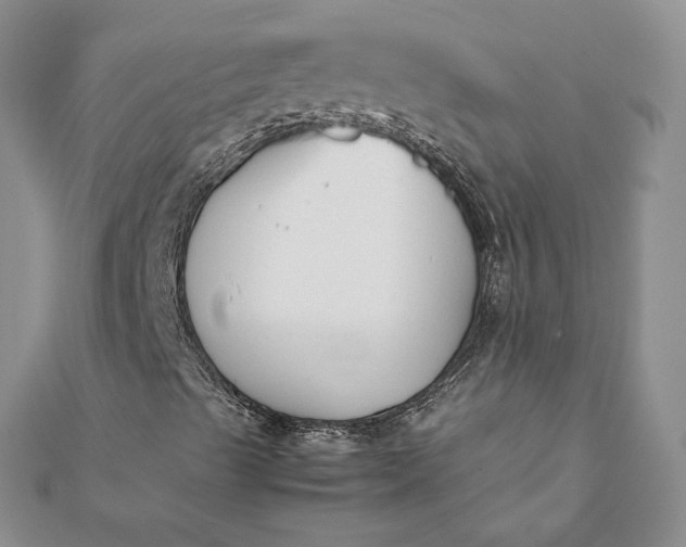 X0000112071489200908181208