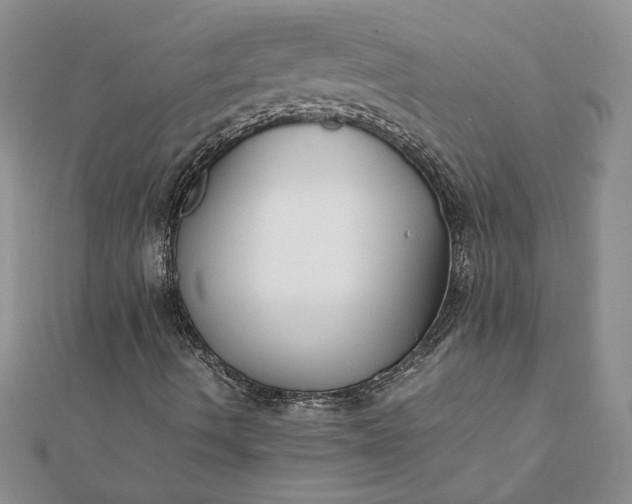 X0000112071490200908181208