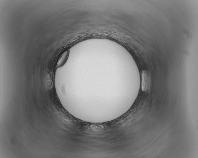 X0000112071491200908181208