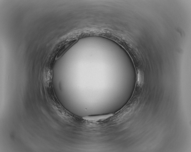 X0000112071492200908181208