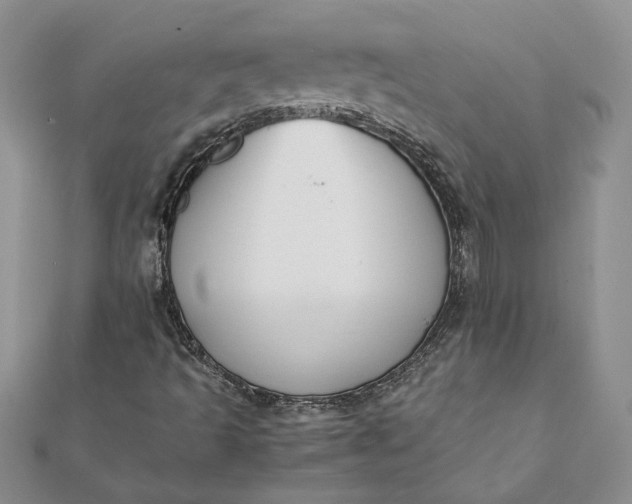 X0000112071493200908181208