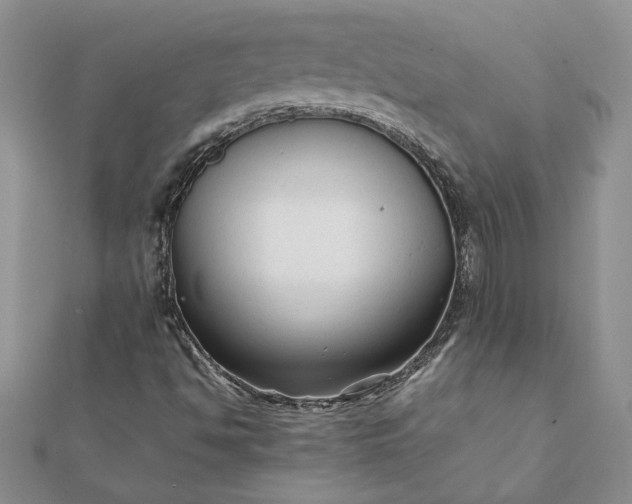 X0000112071494200908181208