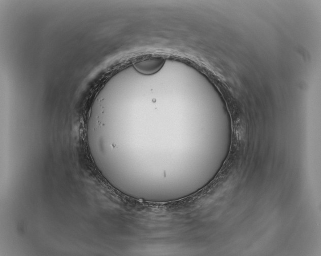 X0000112071495200908181208