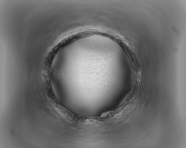 X0000112071496200908181208