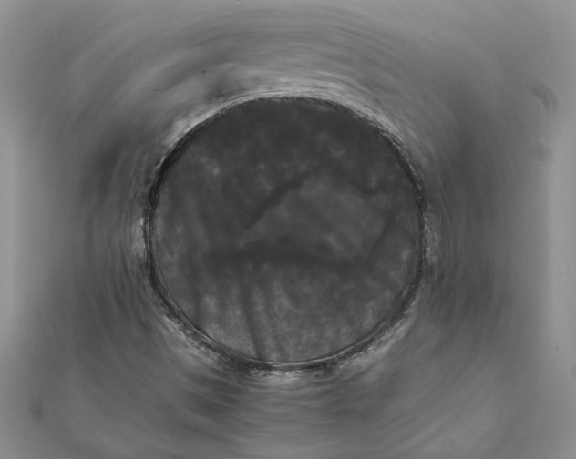 X0000112071497200908181209